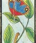 carte 13 Le Papillon