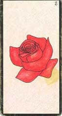 carte 02 la rose