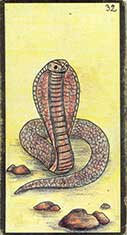 carte 32 Le Serpent