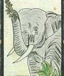 carte 38 L'Eléphant