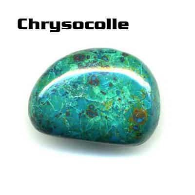 chrysocolle