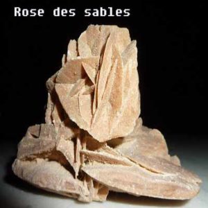 rose des sables