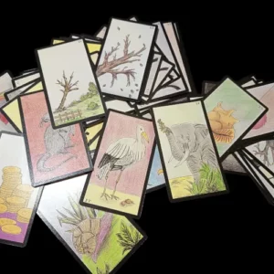 Les cartes Oracle Gé