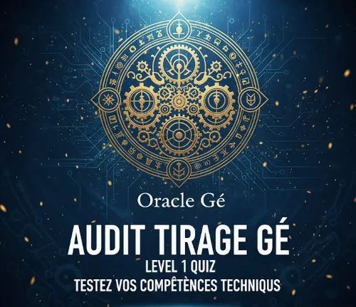 Audit Oracle Gé niveau 1